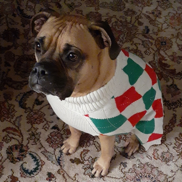 Welcome to my Closet! - Picture 7 of 8